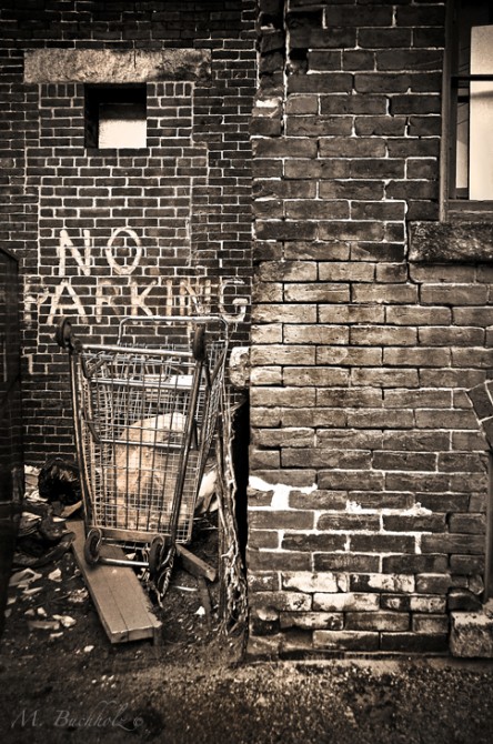 No Parking; Concord, NH